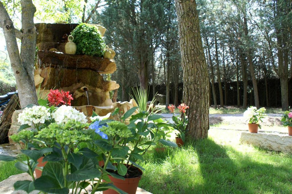 Hotel Rural Villarromana Saldana ภายนอก รูปภาพ